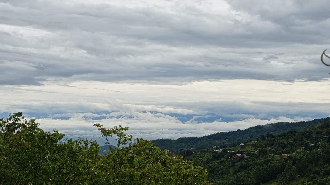 vereda-soledad-